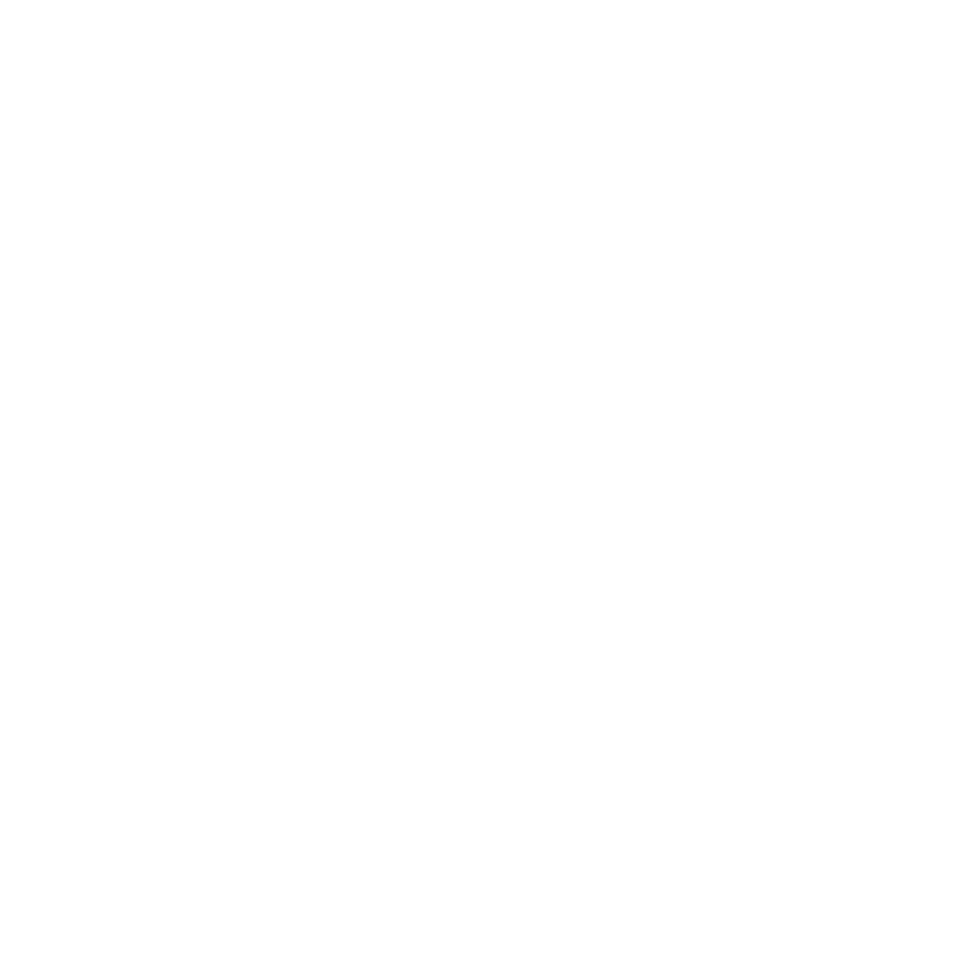 TransferValuePro Logo
